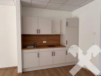 Gewerbeobjekt mieten in 8501 Lieboch (Bild 3)