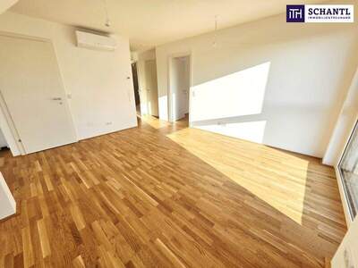 Terrassenwohnung kaufen in 1220 Wien (Bild 5)