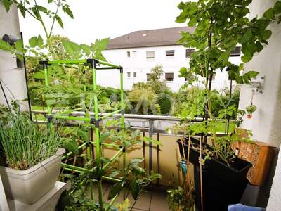 Terrassenwohnung kaufen in 4020 Linz (Bild 4)