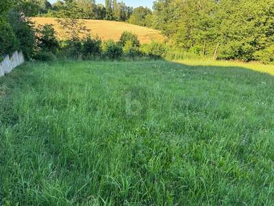 Grundstück kaufen in 4600 Wels (Bild 3)