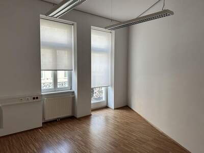 Gewerbeobjekt mieten in 1190 Wien (Bild 4)