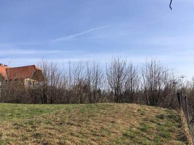 Grundstück kaufen in 8061 Sankt Radegund (Bild 4)