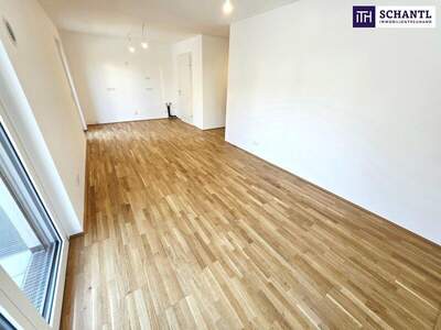 Terrassenwohnung kaufen in 1220 Wien (Bild 4)