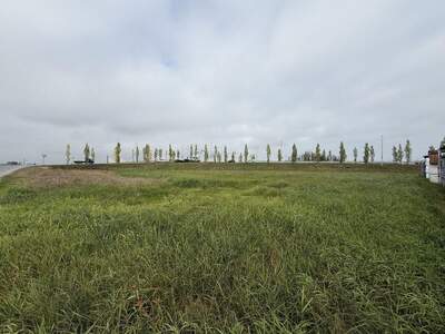 Gewerbeobjekt kaufen in 6971 Hard (Bild 3)