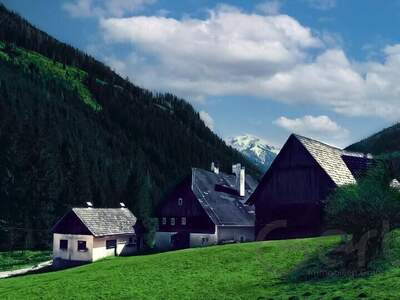 Haus kaufen in 8864 Turrach