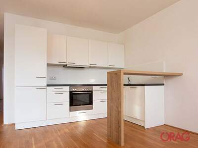 Wohnung mieten in 5020 Salzburg (Bild 1)