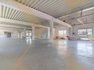 Halle / Lager / Produktion mieten in 4060 Leonding