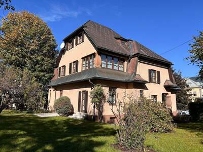 Anlageobjekt kaufen in 8784 Trieben