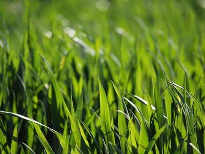 Gewerbeobjekt kaufen in 7400 Oberwart