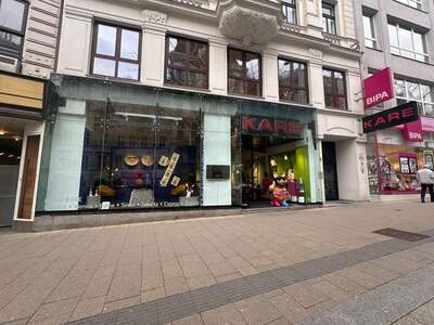 Gewerbeobjekt mieten in 1060 Wien (Bild 1)