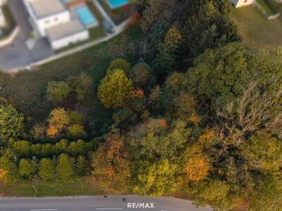 Grundstück kaufen in 4641 Steinhaus