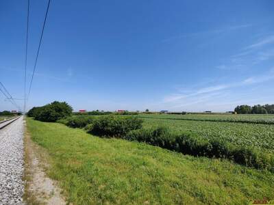 Gewerbeobjekt kaufen in 9231 Beltinci (Bild 4)