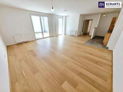 Terrassenwohnung kaufen in 1160 Wien (Bild 5)