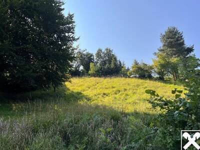 Grundstück kaufen in 4441 Behamberg (Bild 4)