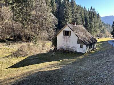 Haus kaufen in 9361 St. Salvator (Bild 1)