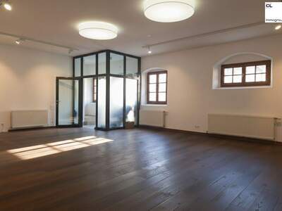 Gewerbeobjekt mieten in 5310 Mondsee (Bild 1)