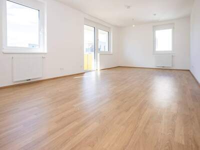 Wohnung mieten in 2700 Wiener Neustadt
