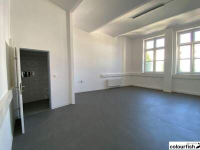 Gewerbeobjekt mieten in 1100 Wien (Bild 2)
