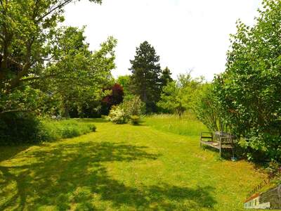 Grundstück kaufen in 2721 Bad Fischau (Bild 2)