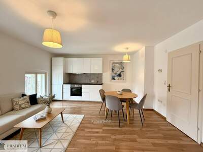 Wohnung mieten in 2700 Wiener Neustadt