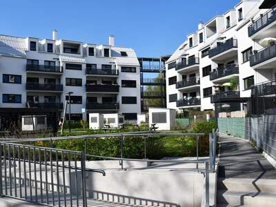 Terrassenwohnung mieten in 2700 Wr. Neustadt (Bild 5)