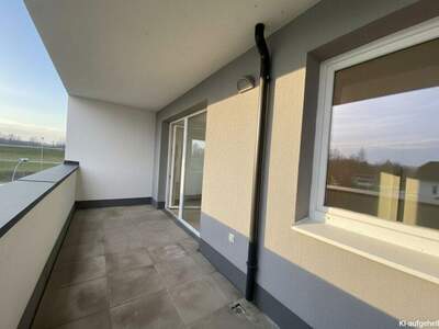 Terrassenwohnung mieten in 3321 Ardagger (Bild 5)