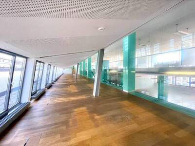 Gewerbeobjekt mieten in 1010 Wien