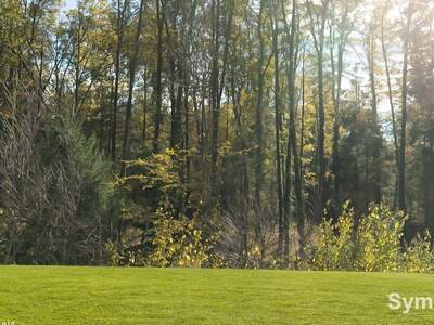 Grundstück kaufen in 8144 Haselsdorf