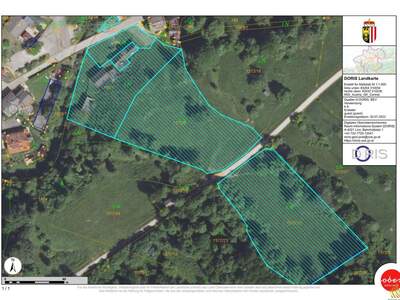 Haus kaufen in 4460 Losenstein (Bild 5)