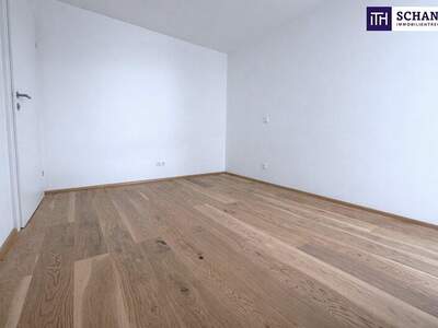 Terrassenwohnung kaufen in 2514 Traiskirchen (Bild 3)