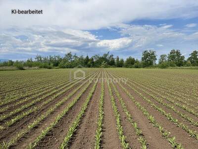 Gewerbeobjekt mieten in 2601 Sollenau