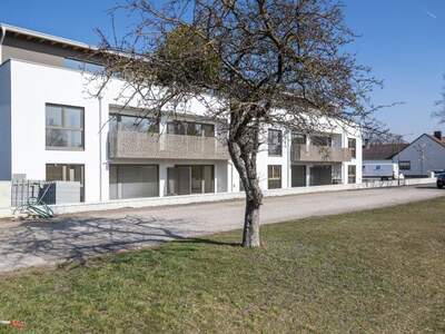 Terrassenwohnung kaufen in 2751 Matzendorf (Bild 2)
