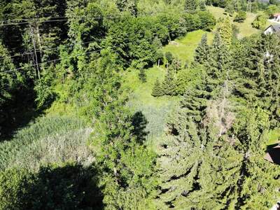 Grundstück kaufen in 8132 Pernegg (Bild 5)