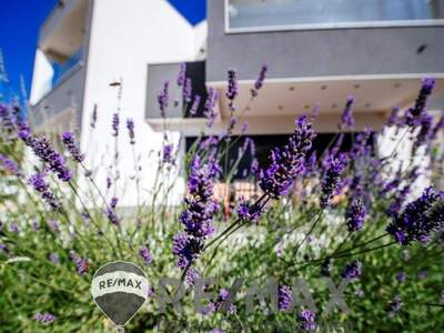 Haus mit Garten kaufen in 23250 Košljun (Bild 4)