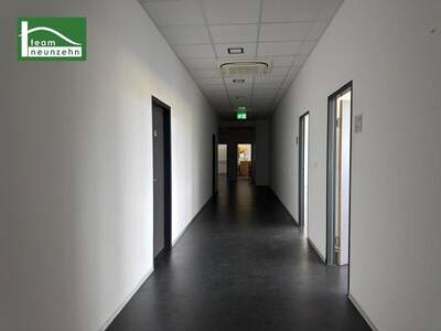 Büro / Praxis mieten in 2326 Maria (Bild 5)