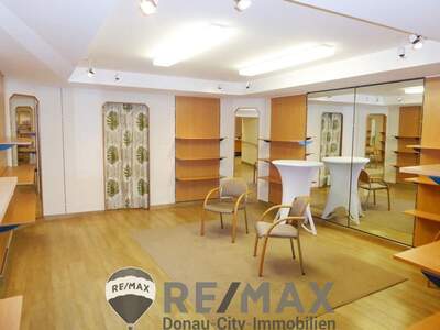 Gewerbeobjekt mieten in 2340 Mödling (Bild 2)
