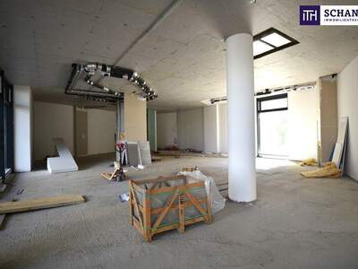 Einzelhandel mieten in 1210 Wien (Bild 5)