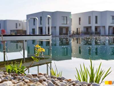 Haus kaufen in 3484 Grafenwörth