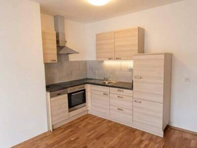 Anlageobjekt kaufen in 2821 Frohsdorf
