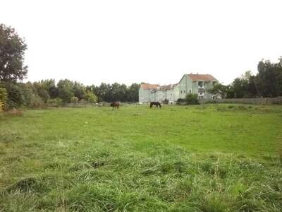 Grundstück kaufen in 7122 Gols