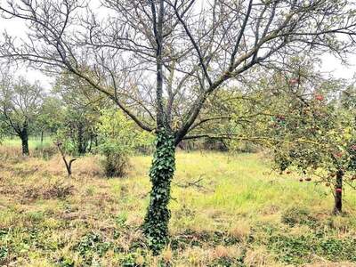 Grundstück kaufen in 7122 Gols