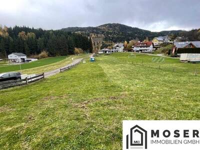 Grundstück kaufen in 8831 Niederwölz (Bild 5)