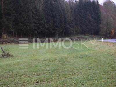 Gewerbegrundstück kaufen in 4201 Gramastetten