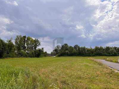 Grundstück kaufen in 4775 Taufkirchen