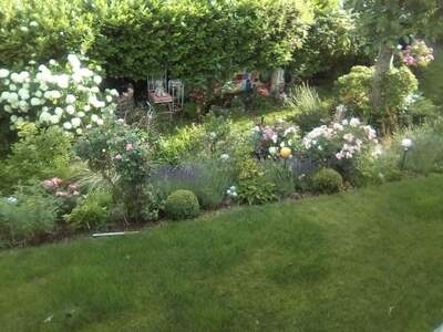 Grundstück kaufen in 1190 Wien (Bild 5)