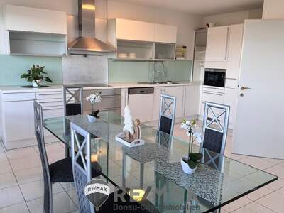 Terrassenwohnung mieten in 1220 Wien (Bild 3)