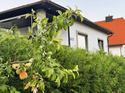 Haus kaufen in 2630 Pottschach