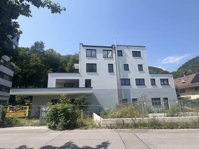 Anlageobjekt kaufen in 5400 Hallein (Bild 4)