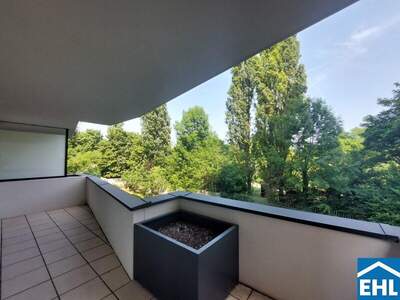 Terrassenwohnung mieten in 1100 Wien (Bild 3)