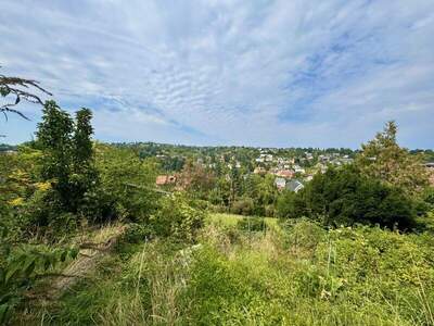 Einfamilienhaus kaufen in 3400 Kierling (Bild 2)